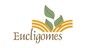 Eucligomes Eucligomes