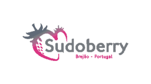 Sudoberry Sudoberry